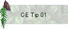 CE Tip 01
