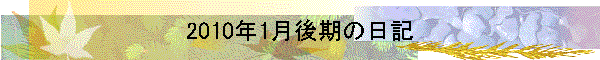 2010N1̓L