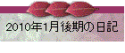 2010N1̓L