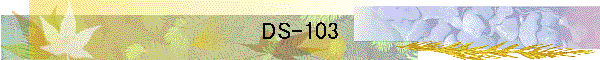 DS-103