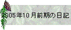 2005N10O̓L